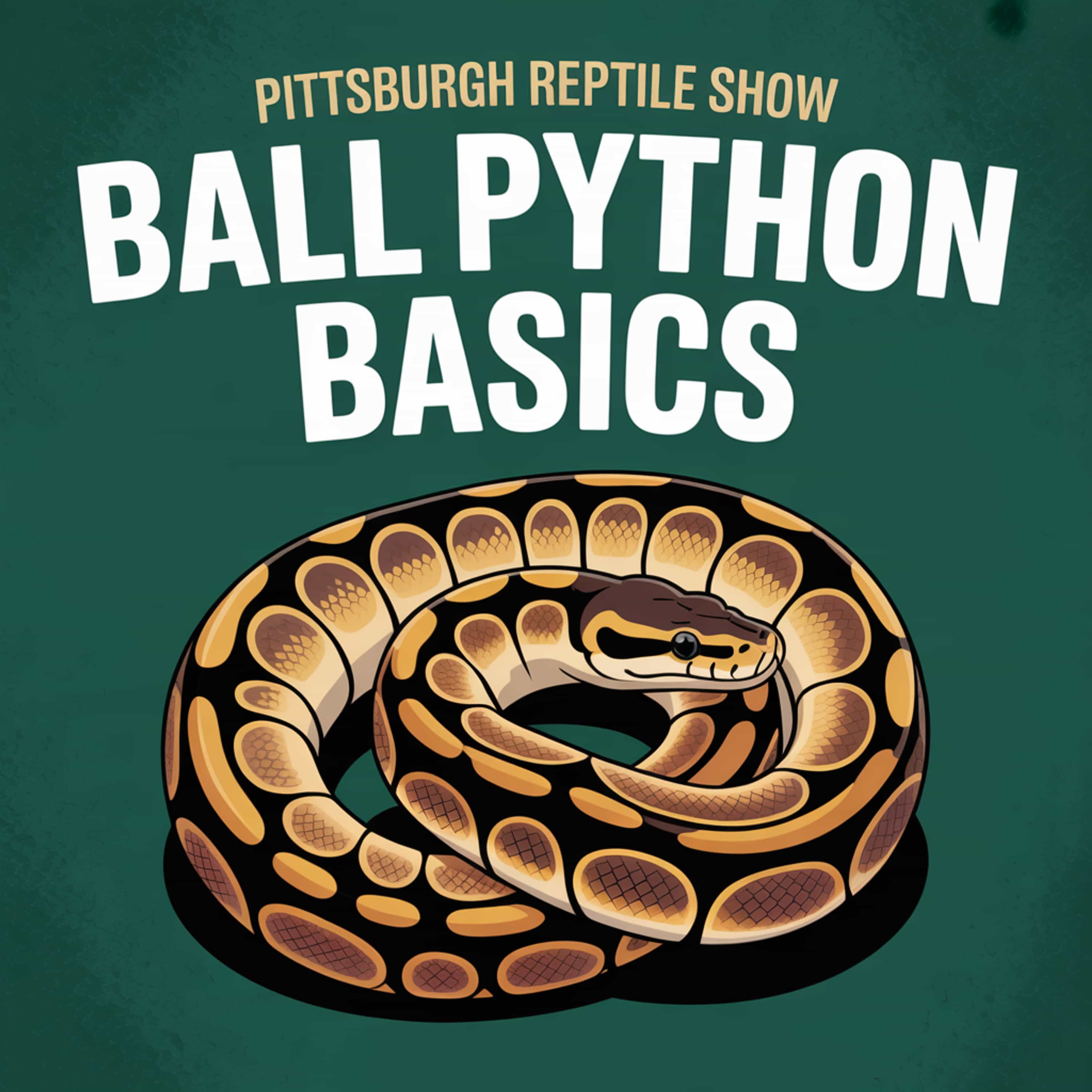 Ball Python Basics and Why You Should Visit the Pittsburgh Reptile Show
